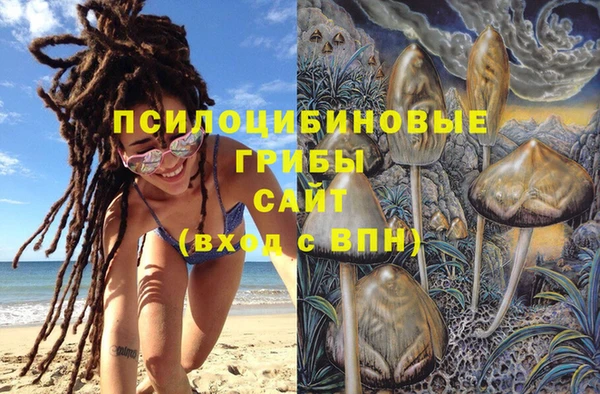 spice Волоколамск