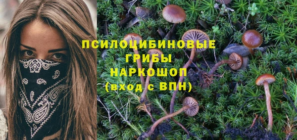 прущая мука Волосово