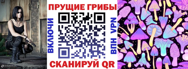 Галлюциногенные грибы прущие грибы  Тихвин 
