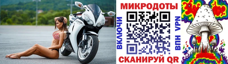 Галлюциногенные грибы Psilocybe Тихвин